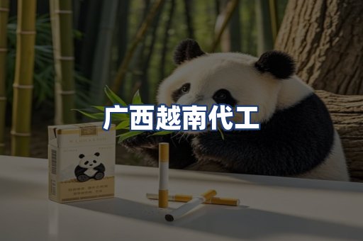 广西越南代工